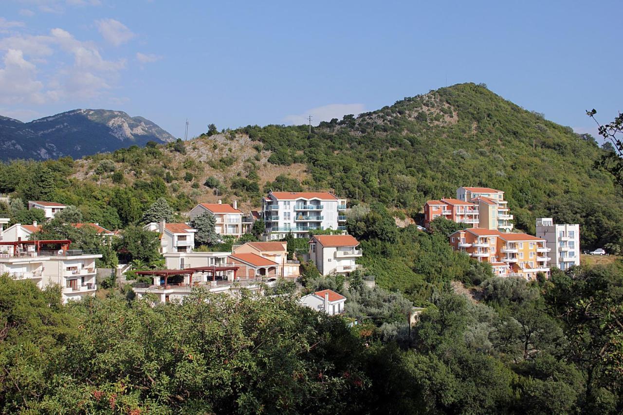 The View Apartment 3 Petrovac Exterior foto